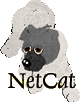 cat.gif