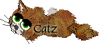 catzz.gif