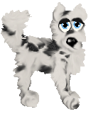 pup.gif