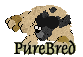 purebred.gif