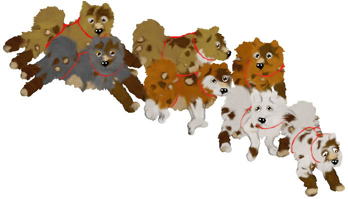 sleddogs.gif